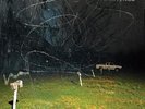 YO LA TENGO -  THIS STUPID WORLD - 2XLP    NEW    FREE SHIPPING