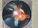 Big Fish Theory Rare Limited Picture LP with “SIGNED” insert Frame not included