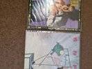 SNFU VINYL THE LAST OF THE BIG TIME SUSPENDERS 1991 & IF YOU SWEAR.. 2 LPs