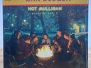 Hot Mulligan Acoustic Vol. 1 + 2 PURPLE WHITE GALAXY COLORED Vinyl LP x/600