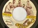 LA CRIOLLA - Amor Amor/ RARE PRIVATE SALSA ROMANTICA PUERTO RICO 45