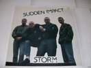 Sudden Impact - Storm LP Vinyl 1989 Rock-O-Rama Punk Oi