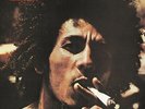 Catch a Fire (Jamaican Reissue LP) - Bob Marley & The Wailers Vinyl  NEW