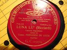 1909 FERNANDO DE LUCIA MILAN 1909 Luna Lu' NOTTURNO NAPOLETANO guitar 2-52724