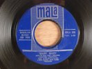 The Birdwatchers  Mary Mary/Cry A Little Bit  RARE  Garage, Mod, Psych
