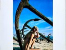 Sexy Cover / Golden Sounds / Seto No Hanayome Japan LP / Cheesecake, Bikini