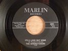 The Birdwatchers  It Doesn't Matter/Its A Long Way Home   Garage  1965 Marlin