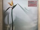 New Musik From A To B UK Original VG+