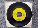 RARE 1968 MICHIGAN GARAGE PSYCH-SCOT RICHARD CASE-THE EARLY RATIONALS-45-(NM-)