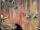 Slayer Hell Awaits Combat/Metal Blade Records 1985 Original W/Inner  Nice  EX/NM