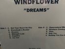 WINDFLOWER 