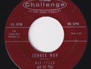 KIP TYLER & HIS FLIPS Jungle Hop RARE rockabilly 45 monster  The Cramps LISTEN