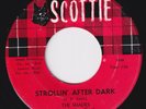 SHADES Strollin After Dark / I Was A Teenage Werewolf RARE rockabilly 45 CRAMPS