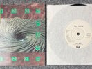 Pink Floyd  One Slip/Terminal Frost  Italy Picture Sleeve 45   PROMO