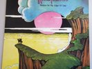 Hawkwind Warrior On The Edge Of Time LP Rare Green Vinyl Near Mint