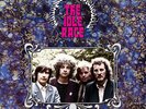 The Idle Race - Schizophrenic Psychedelia [New Vinyl LP] UK - Import