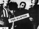 DAMNED  NEW ROSE  STREAKY GREEN VINYL  FRANCE REPRESS  7