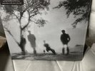 Josef K - Sorry For Laughing -  Clear vinyl Album