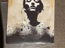Converge “Jane Doe” 2 LP Vinyl.  2nd Press