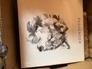 PASSENGER VINYL LP THE BOY WHO CRIED WOLF . NEVER PLSYED