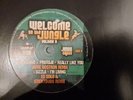 Sara Lugo - Welcome To The Jungle Volume 3 Sampler One - Used Vinyl - D4593A