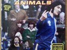 SUPER FURRY ANIMALS 'The Man Don't Give A Fuck' 7