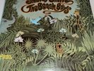 The Beach Boys Smiley Smile Vinyl Record NOT TESTED AS IS
