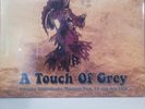 GRATEFUL DEAD A Touch of Grey 10