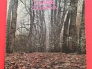 TWINK - THINK PINK LP.  PROMO. GATEFOLD COVER