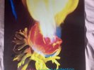 Adorable Against Perfection Lp Shoegaze Creation 2018 MOV reissue