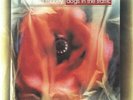 Love and Money - Dogs In The Traffic | [Red Vinyl LP] | Last