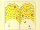 WOLF, Patricia - See Through - Vinyl (LP)