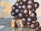 Moby Grape / WOW / 5 Album Bundle