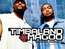 Timbaland & Magoo ‎–  Indecent Proposal   | 2LP US Import | NM / VG+