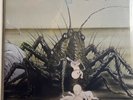 BIRTH CONTROL, operation, KRAUT OHR REC, LAB Quality, foc, Reissue,