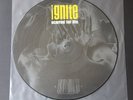 Ignite – Scarred For Life PICTURE LP VINYL 1st PRESS ROCK HARDCORE PUNK 1994