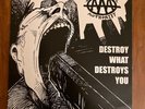 AGAINST ALL AUTHORITY DESTROY WHAT DESTROYS YOU 12