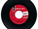 Tony and Terri - I Want You / Take Me Now - 1965 Mercury 72489 Folk Punk 45