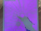 Darker My Love [LP] by Darker My Love-Self Titled Vinyl-Dangerbird -Record-2 LP