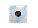 CONFIRMED Taylor Swift Lover (Live From Paris) Heart Shaped Vinyl SOLD OUT