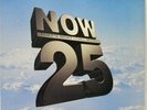 Various – Now That's What I Call Music  25 - UK 2 x LP Compilation - 1993