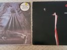 STEELY DAN 