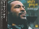 Marvin Gaye - What's Going On: Original Detroit Mix - Import LP