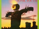 Sonic Youth Bad Moon Rising Homestead Records Vinyl LP