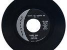 HARRY DEAL & THE GALAXIES 