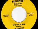 DETROIT GARAGE 45 - THE YORKSHIRES - AND YOU'RE MINE - HEAR