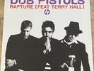 Dub Pistols ft Terry Hall Rapture 12” Vinyl