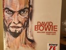 David Bowie - Brilliant Adventure (1992-2001) New 18 LP box set