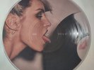 Blondie Parallel Lines Picture Disc LP Record
