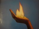 The Mighty Diamonds - Ice On Fire - Used Vinyl Record - E12A